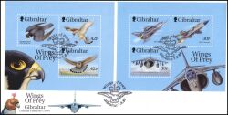 1999  Kampfflugzeuge und Raubvögel