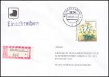 1991  Einzelfrankatur auf R-Brief