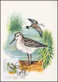 1982  Vögel aus dem Nationalpark - Maximumkarten