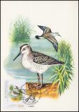 1982  Vögel aus dem Nationalpark - Maximumkarten
