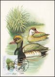 1982  Vögel aus dem Nationalpark - Maximumkarten