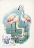 1982  Vögel aus dem Nationalpark - Maximumkarten