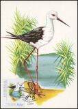 1982  Vögel aus dem Nationalpark - Maximumkarten