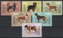1981  50 Jahre Verein für Hundezucht