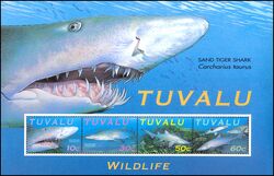 Tuvalu 2000 Weltweiter Naturschutz: Sandhai