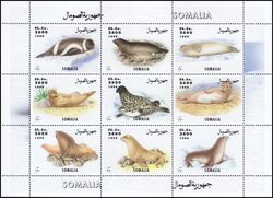 Somalia 1999  Robben und Seehunde