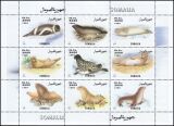 Somalia 1999  Robben und Seehunde