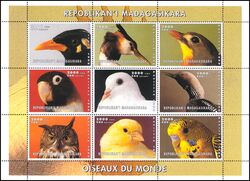 Madagaskar 1999  Vögel