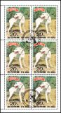 Korea-Nord 1989  Hunde