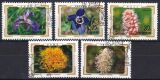 Korea-Nord 1989  Gebirgsblumen