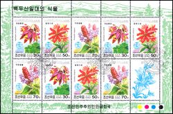 Korea-Nord 2000  Flora des Paektu-Gebirges