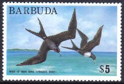 Barbuda 1974  Freimarke: Prachtfregattvogel