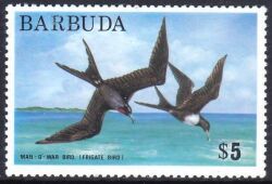 Barbuda 1974  Freimarke: Prachtfregattvogel