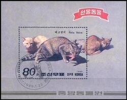 Korea-Nord 1989  Nubische Falbkatze