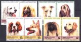 Bequia 1985  Hunde