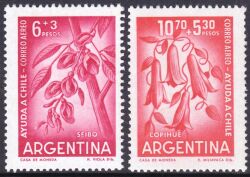 Argentinien 1960  Hilfe für die Erdbebengeschädigten in Chile