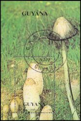 Guyana 1990  Pilze