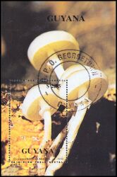 Guyana 1990  Pilze