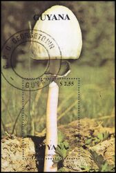 Guyana 1990  Pilze