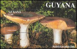 Guyana 1991  Pilze