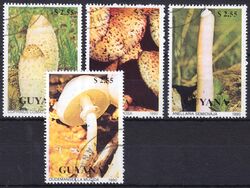 Guyana 1990  Pilze