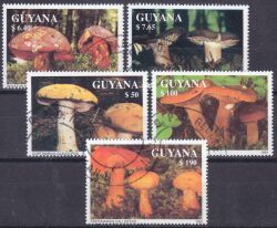 Guyana 1991  Pilze