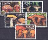 Guyana 1991  Pilze