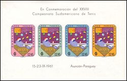 Paraguay 1961  28. sdamerikanische Tennismeisterschaften
