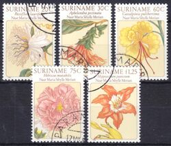 Surinam 1981  Blumen