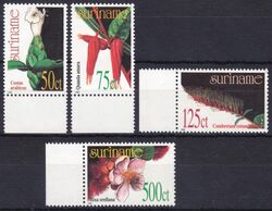 Surinam 1993  Heilpflanzen