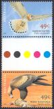 Australien 2001  Greifvögel