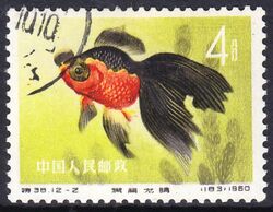 China 1960  Zuchtformen des Goldfisches