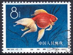 China 1960  Zuchtformen des Goldfisches