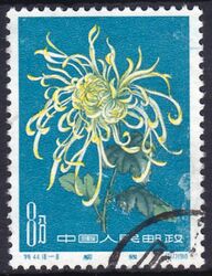 China 1960  Chrysanthemen
