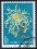 China 1960  Chrysanthemen