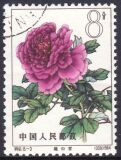 China 1964  Pfingstrosen