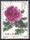 China 1964  Pfingstrosen