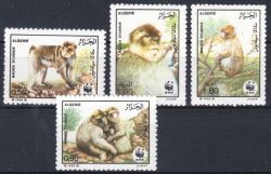 Algerien 1988  Weltweiter Naturschutz WWF: Magot