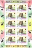 Guinea 2000  Weltweiter Naturschutz WWF: Affen