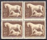 1944  Galopprennen "Das Braune Band von...