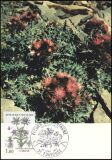 1983  Blumen