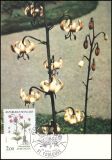 1983  Blumen