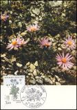 1983  Blumen
