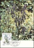 1983  Blumen