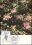 1983  Blumen