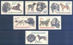 1973  Jagdhunde