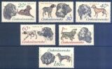 1973  Jagdhunde