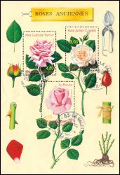 1999  Weltkongreß für Rosenzüchtungen