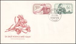 1960  Wahl der Nationalversammlung