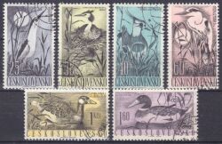 1960  Wasservögel